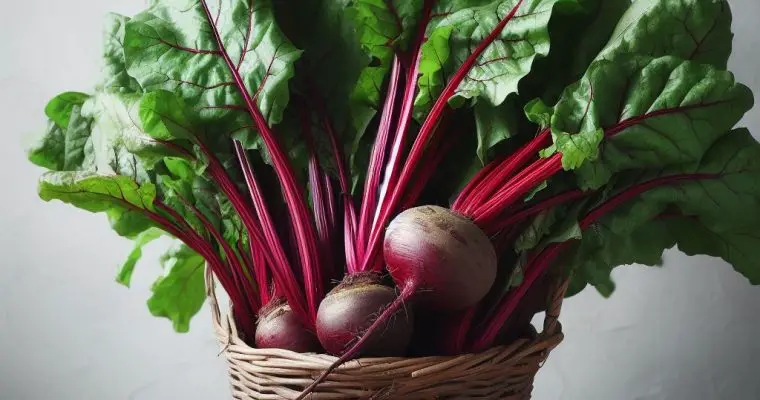 How To Grow Beetroot?