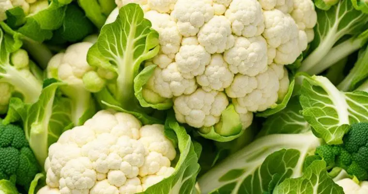 How To Grow Cauliflower?